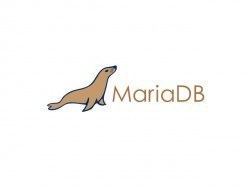 Datenbanken: Google steigt von MySQL auf MariaDB um