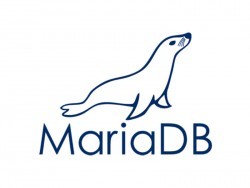 MariaDB Corporation erhält frisches Kapital und neue Führungsriege